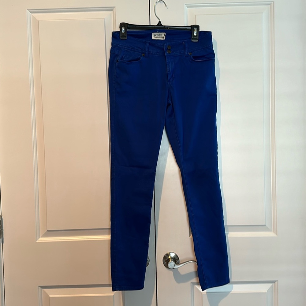 Scarlet Boulevard Pants Size 29